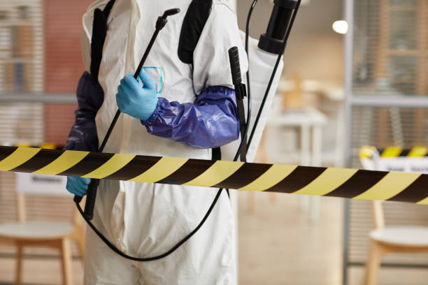Professional Sewage Cleanup technician working in Hickman, NE
